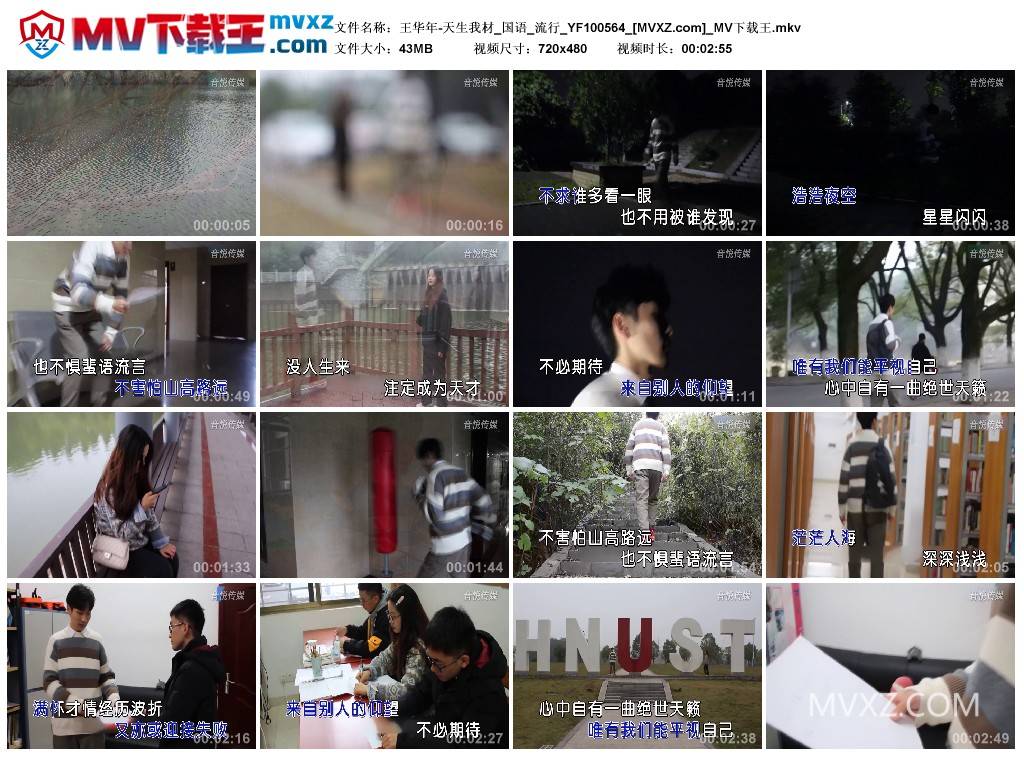 王华年-天生我材_国语_流行_YF100564
